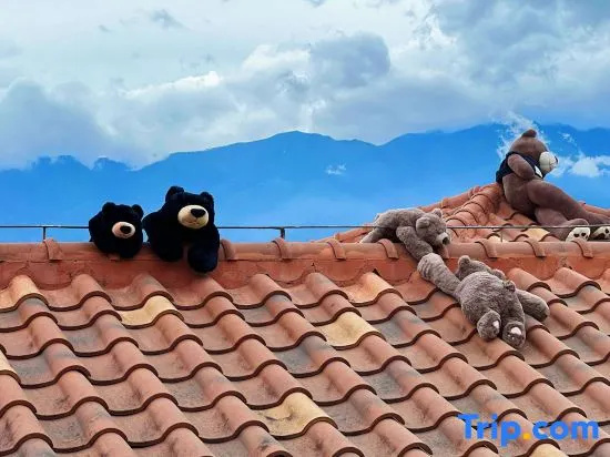 Lisu · Zhenxinghe | Cliffside Sea-view Vacation Homestay in the Clouds