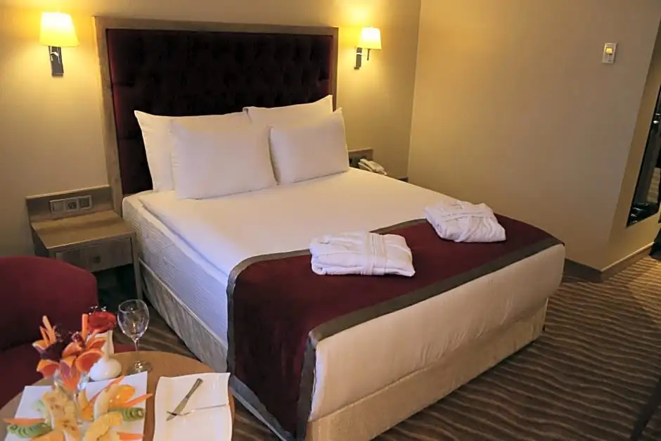 Clarion Hotel Kahramanmaras - Chambres