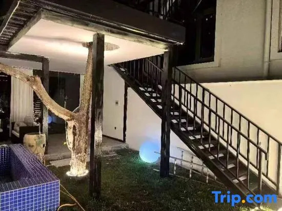 Balcony & Terrace