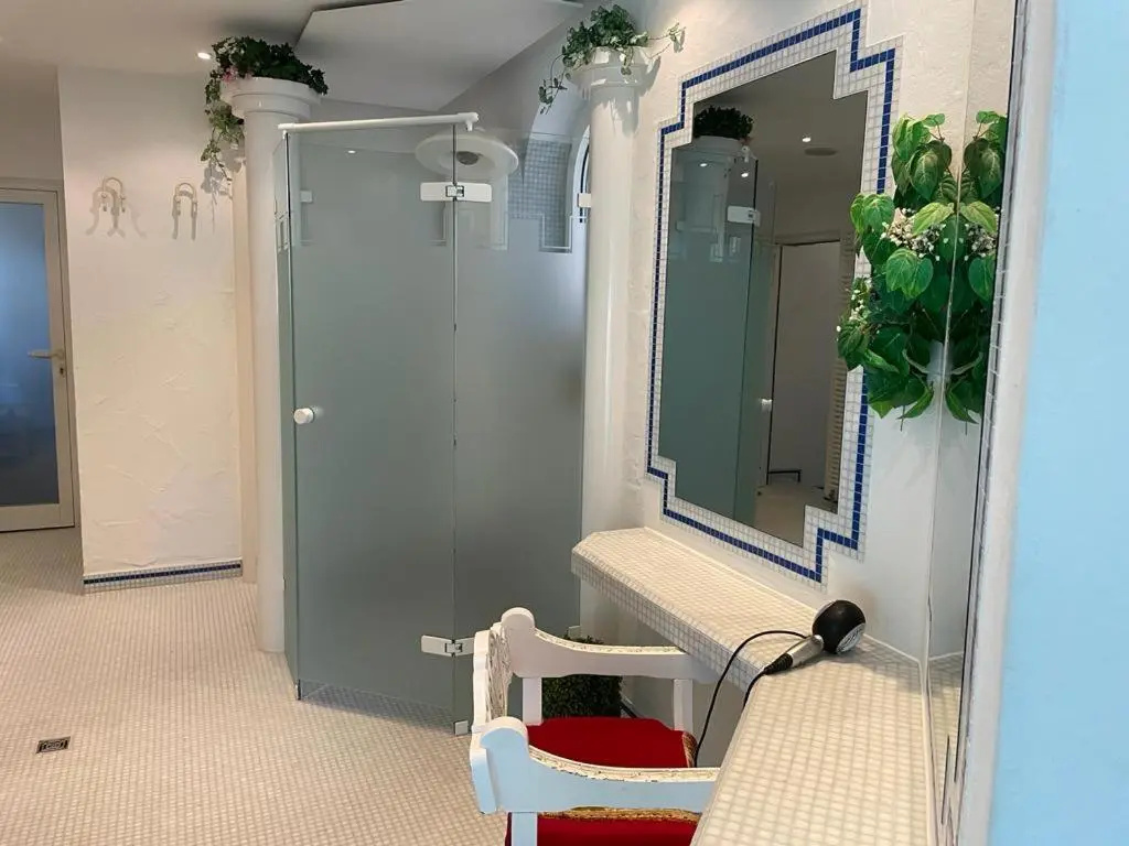 Sunside Wellness-Oase Hotel Apartment's Schwarzwald am Schluchsee - Chambres