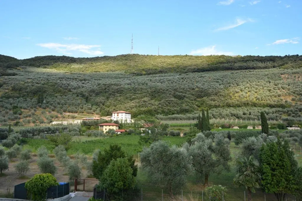 Ecohotel Primavera - Chambres