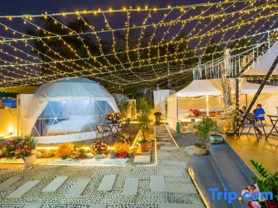 Starry Sky Camping Homestay in Shenzhen