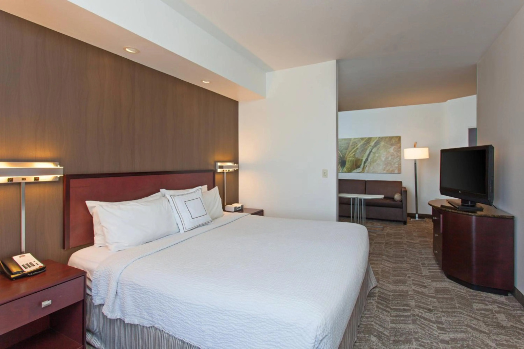 SpringHill Suites by Marriott El Paso - Général