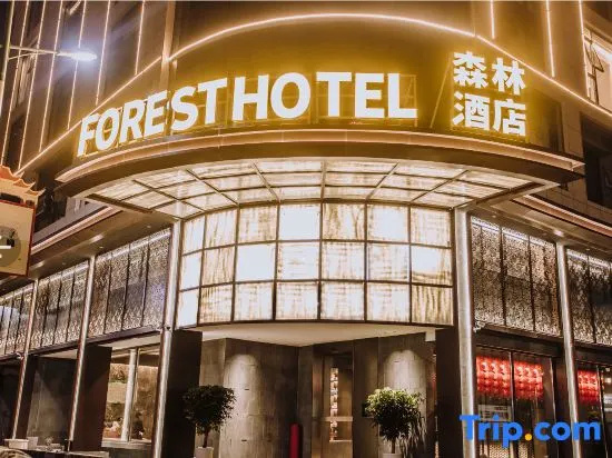 Forest Hotel