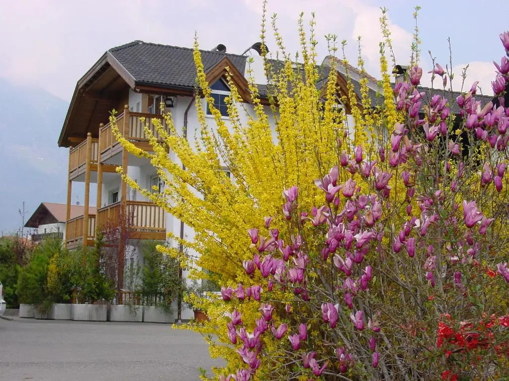 1 Bedroom Apartment with balcony
