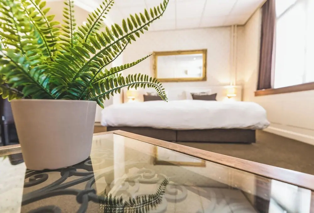 Superior Double room (full double bed)