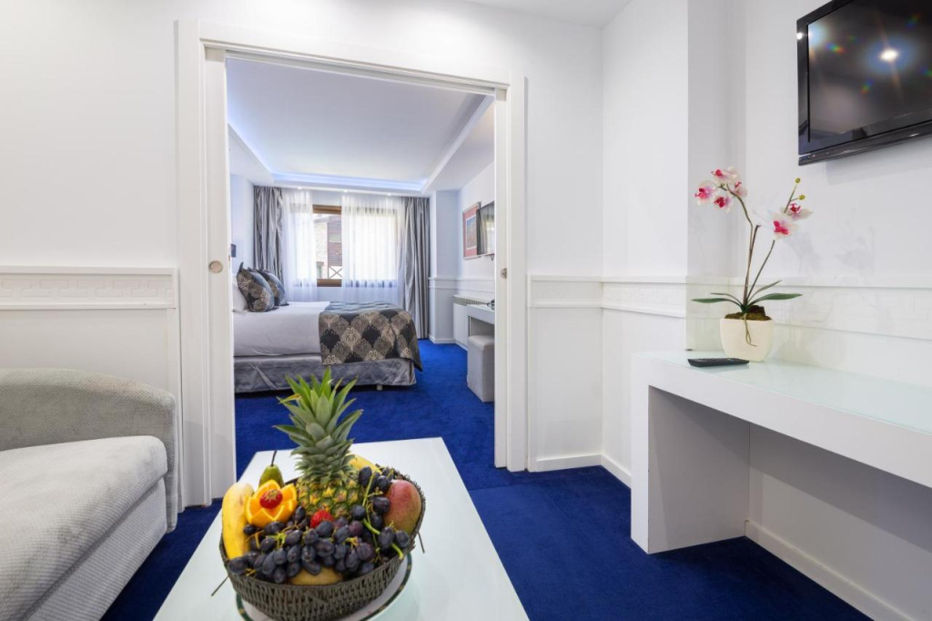Hotel Spa Princesa Parc Excellence - Général