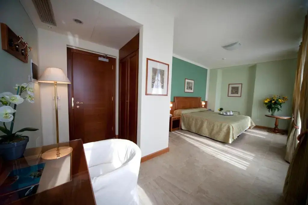 Standard Double room with lake view (full double bed)