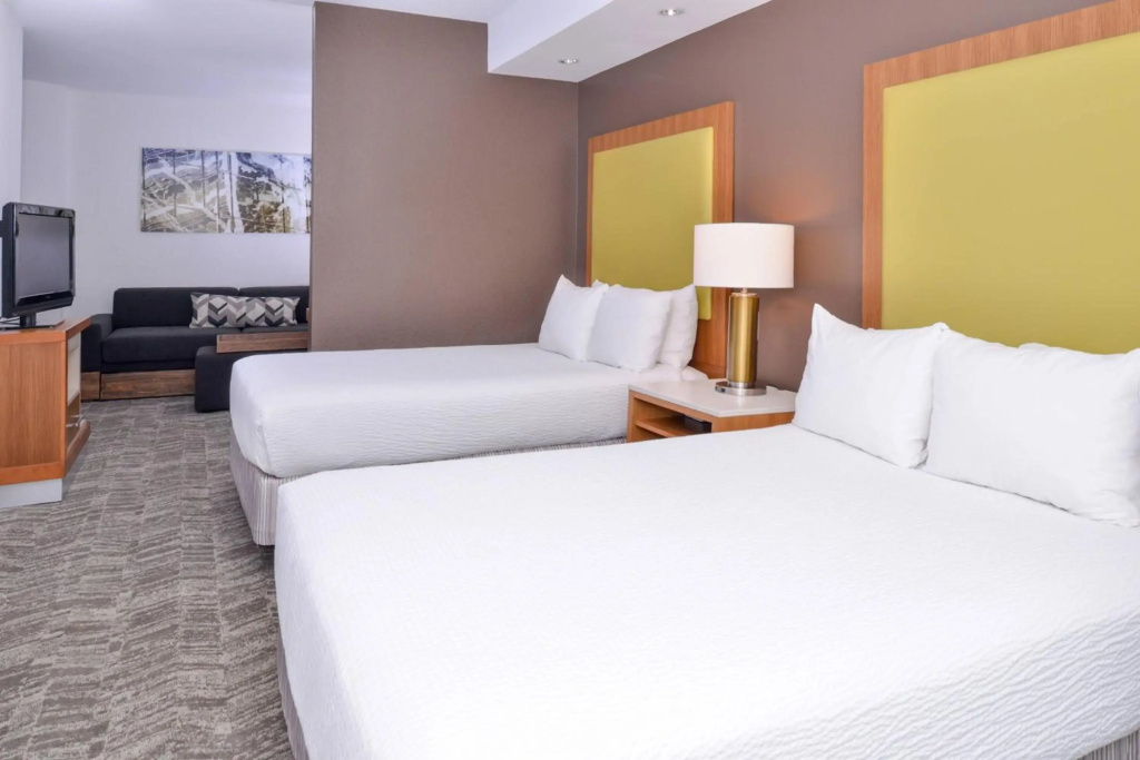 SpringHill Suites by Marriott Fairfax Fair Oaks - Général