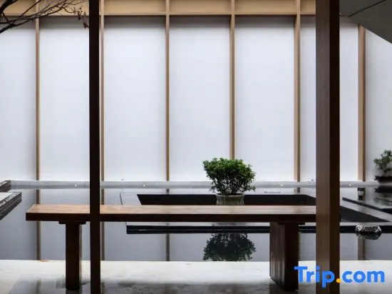 Balcony & Terrace