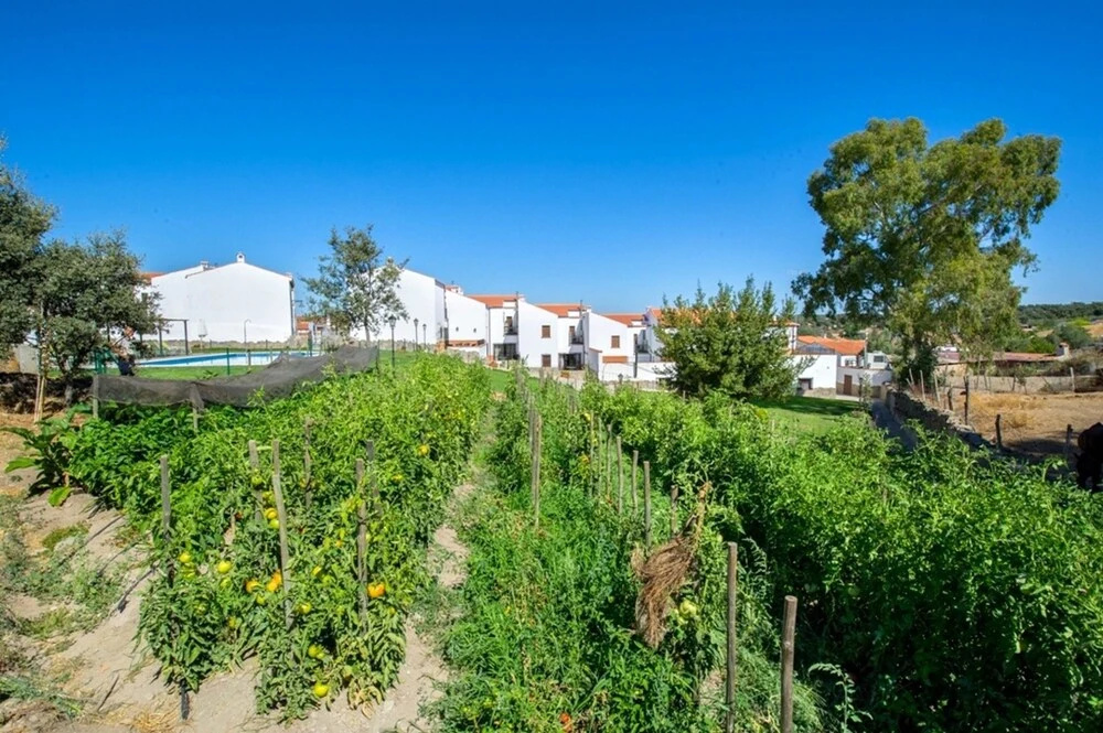 Apartment With 2 Bedrooms in Venta del Charco, With Wonderful Mountain