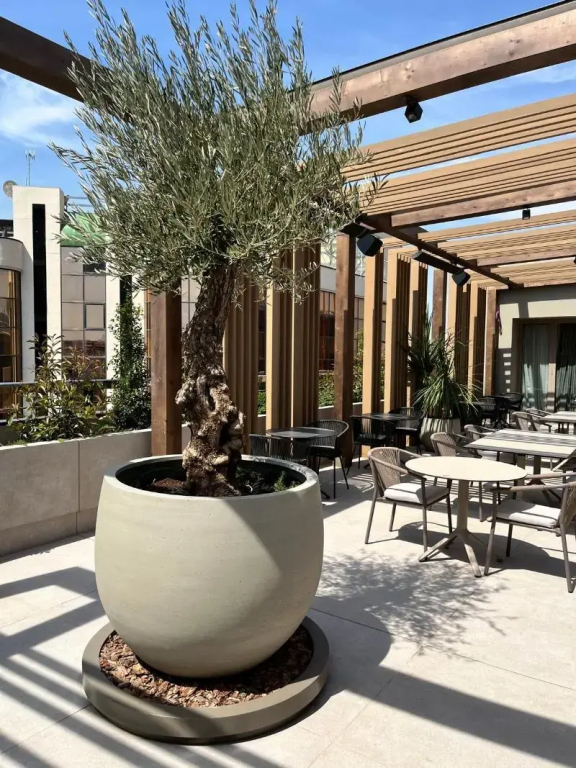 SH Valencia Palace Hotel - фото 24