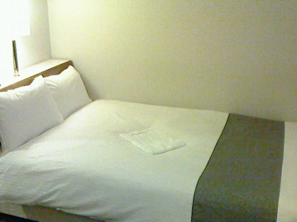 Niigata Keihin Hotel - Général