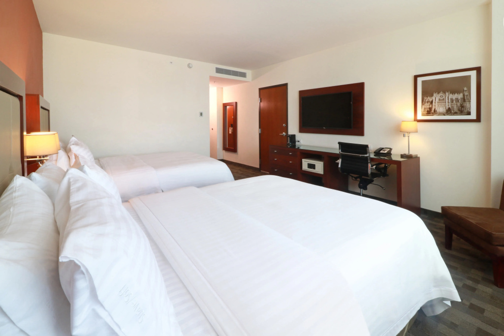 Holiday Inn Leon Plaza Mayor by IHG - Général