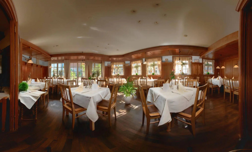 Hotel-Restaurant Gasthof zum Ochsen - Général