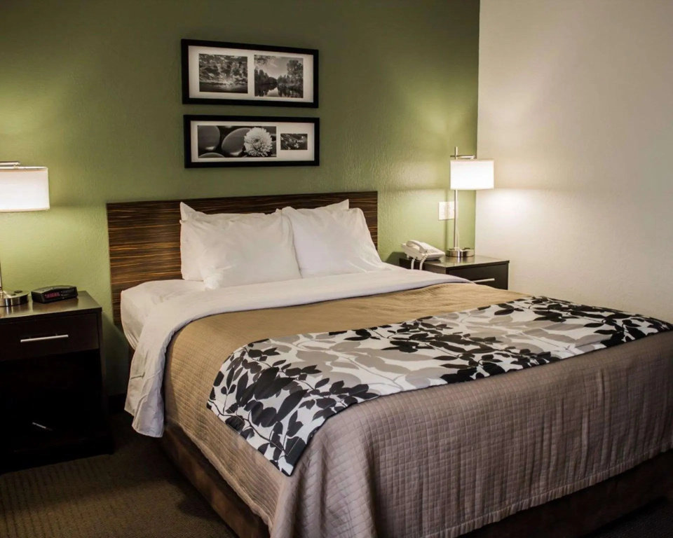 1 Bedroom Standard room