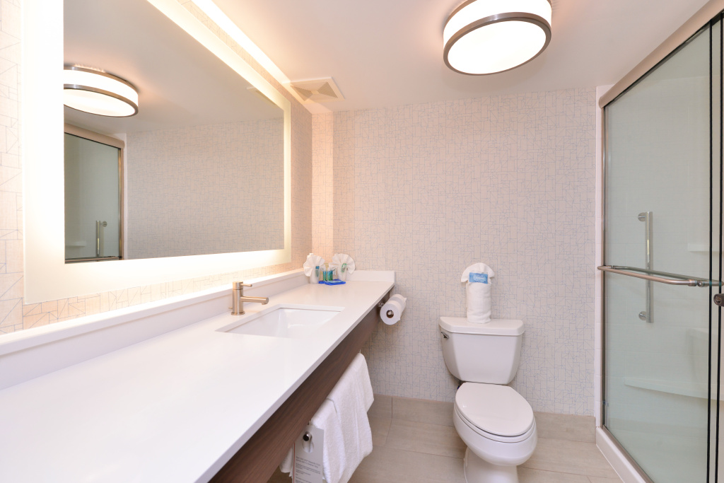 Holiday Inn Express & Suites Indianapolis Dtn-Conv Ctr Area by IHG - Général