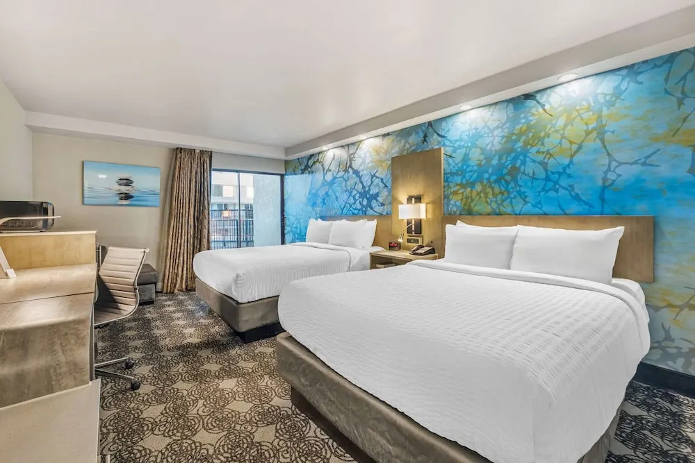 Suite (Upgrade)