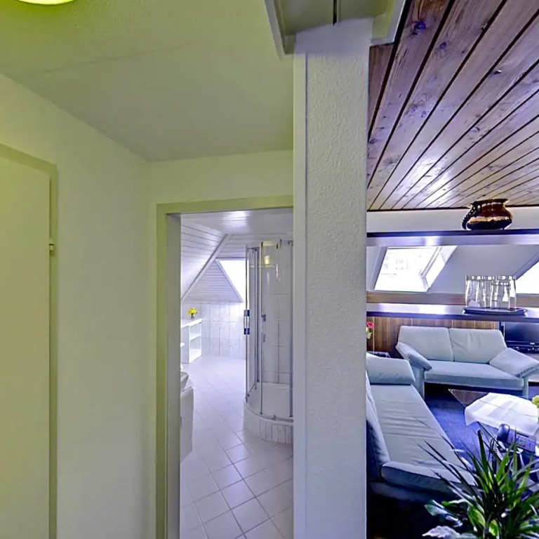 Balcony & Terrace