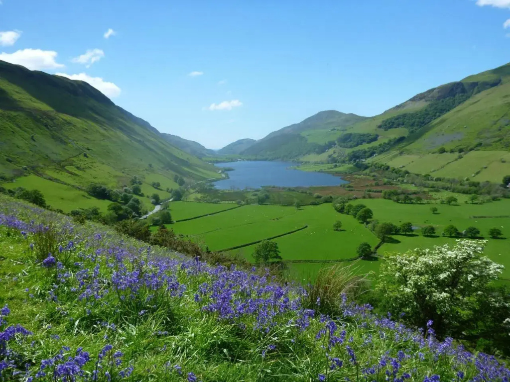 Dolffanog Fawr - Général