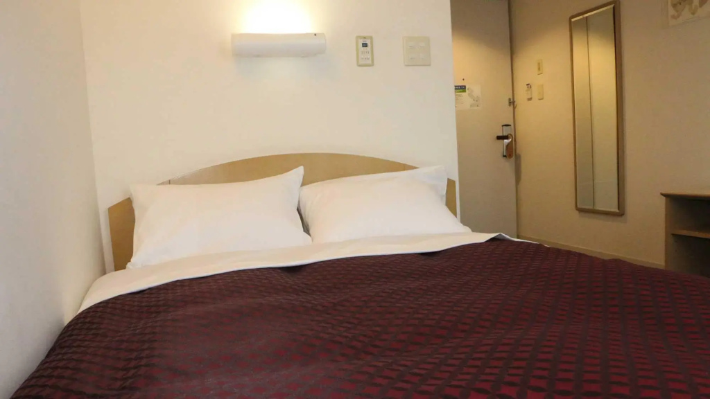 Standard Double room (full double bed)