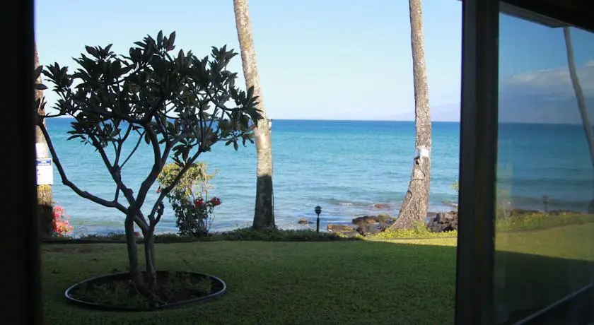 Polynesian Shores #126