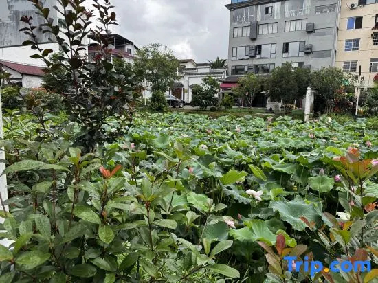 Incredible Courtyard (Jiuqu Stream Bamboo Raft Pier)