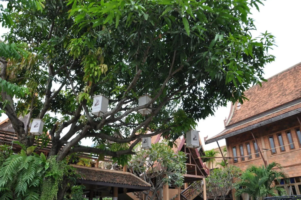 Ruean Thai Hotel