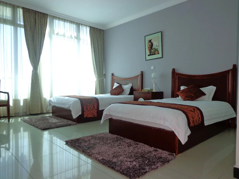 Standard Double room with city view (twin beds)