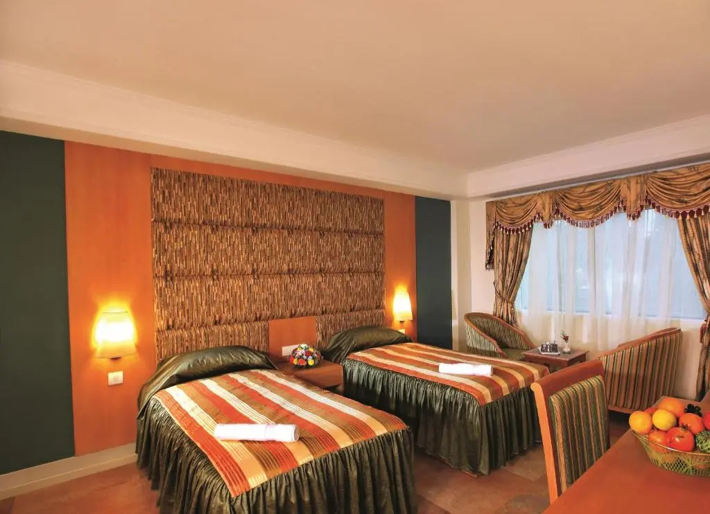 Deluxe Double room (full double bed)