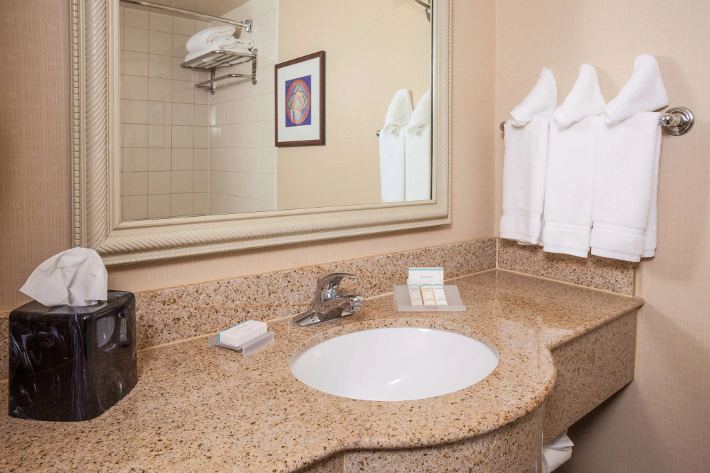 Hilton Garden Inn El Paso / University - Général