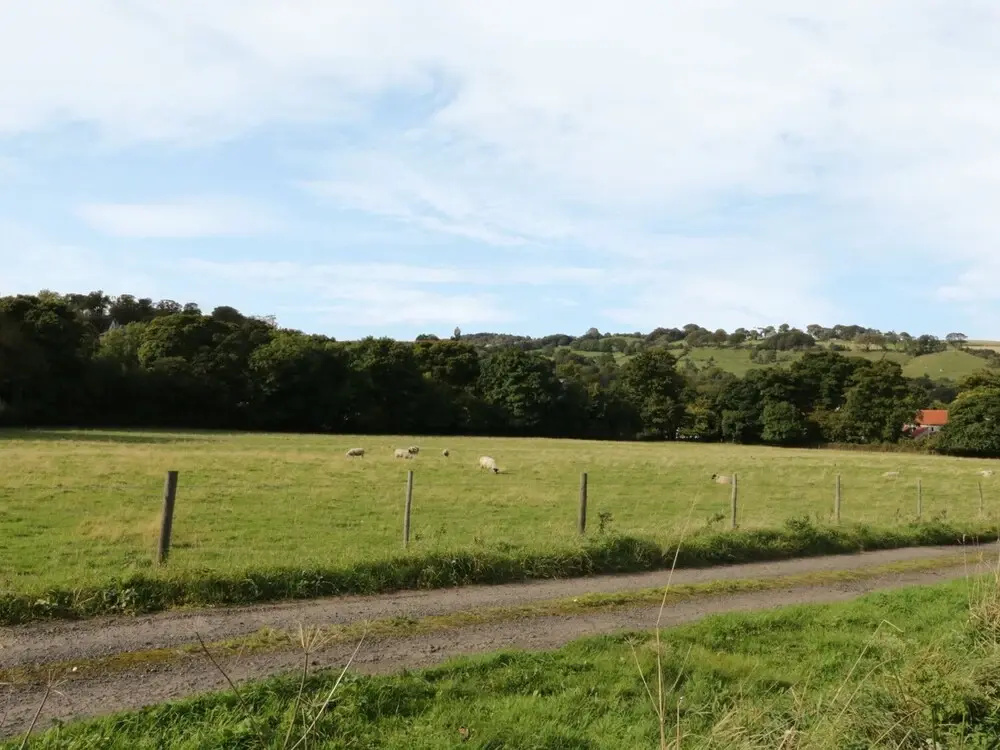 Lowdale Barns West