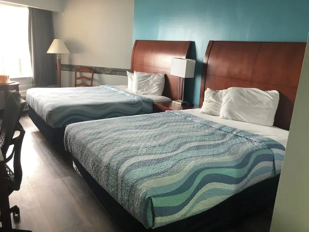 Deluxe Quadruple Studio with ocean view