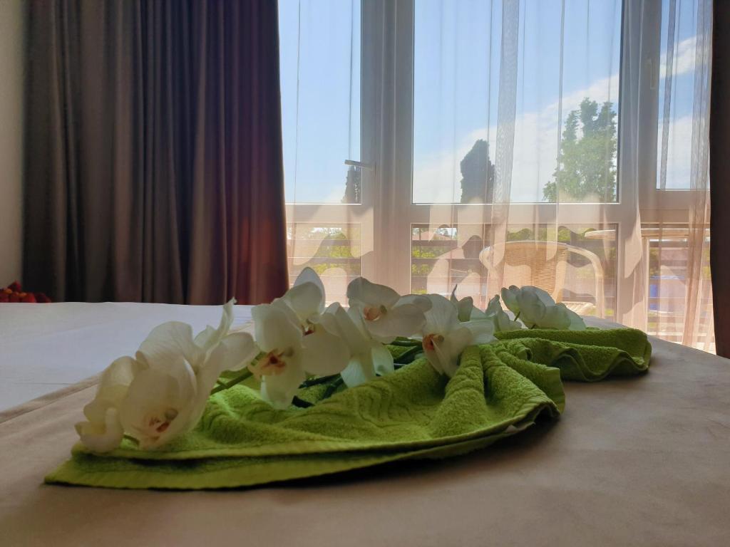 Люкс в Оазис Клаб Резорт