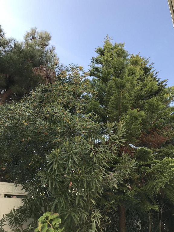 Pienosole B&B — 3