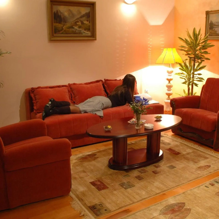 Hotel Tehnograd - Général
