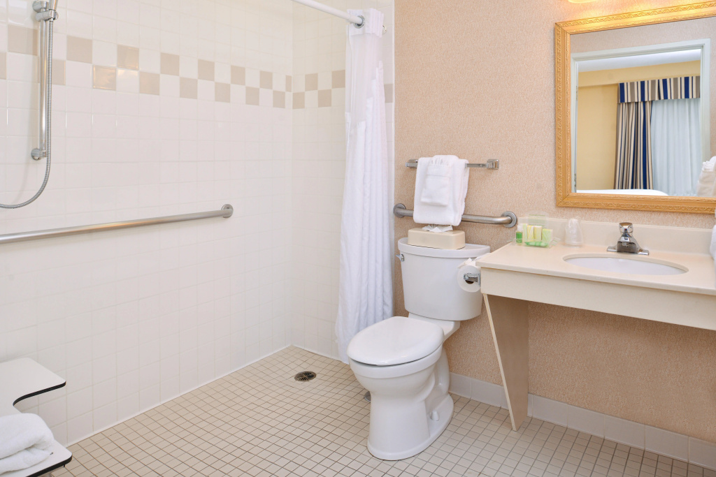 Holiday Inn & Suites Chicago - Downtown by IHG - Général