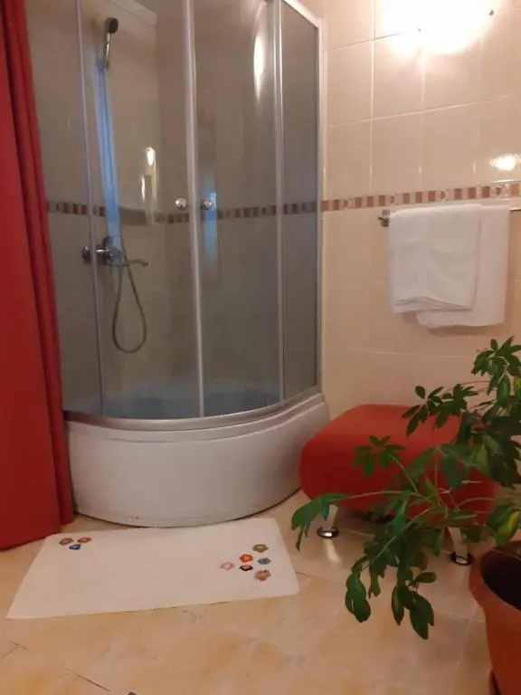 Vila Floare de Colt - Chambres