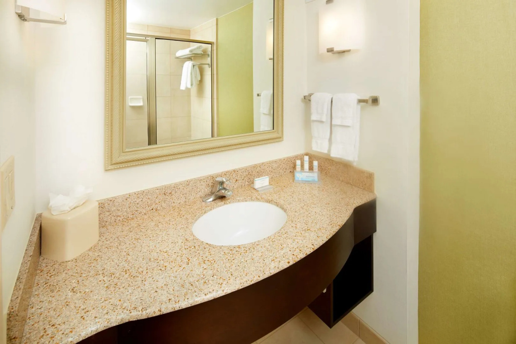 Hilton Garden Inn Savannah Midtown - Général