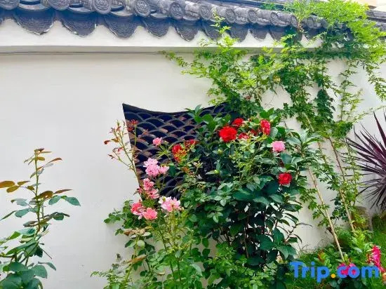 Maitreya Designer Dream Hutong Bieyuan (Huquan Ecological Park Honghe Water Town Store)