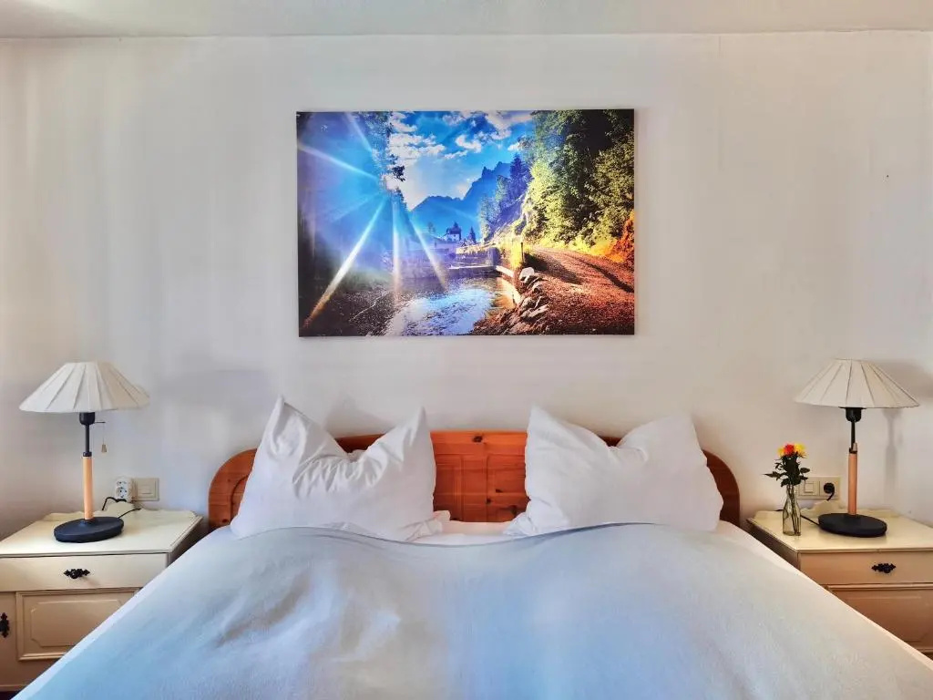 Standard Double room with mountain view (full double bed)