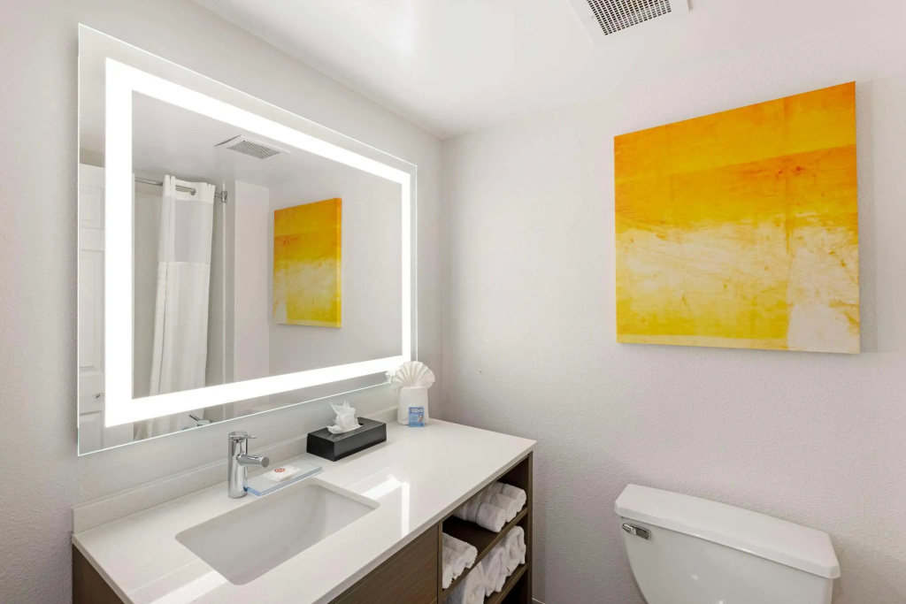 Comfort Inn & Suites Arlington Heights - Général