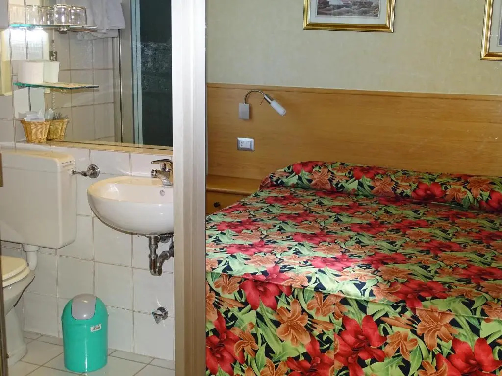 Standard Single room with mountain view