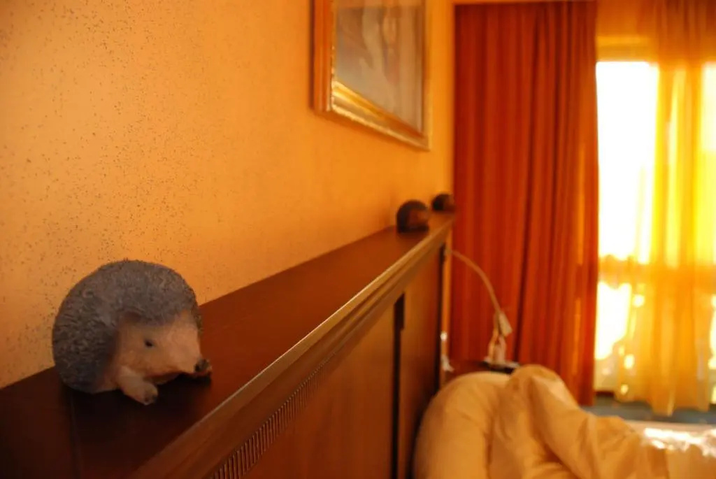 Hotel Hirsch - Chambres