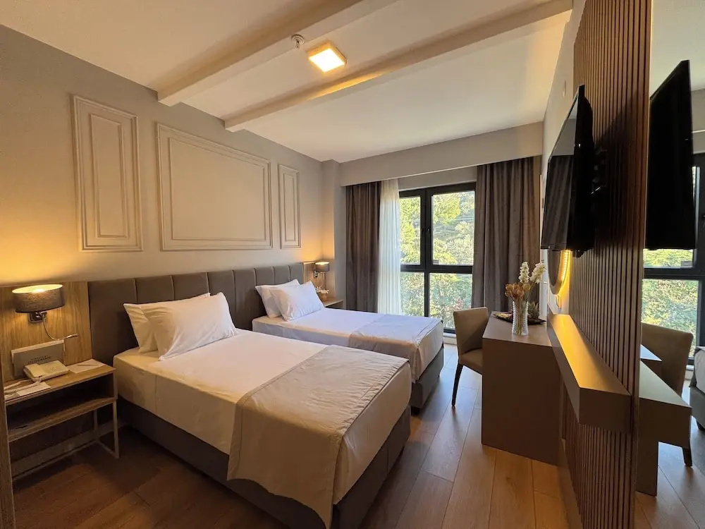Superior Double room with mountain view (twin beds)