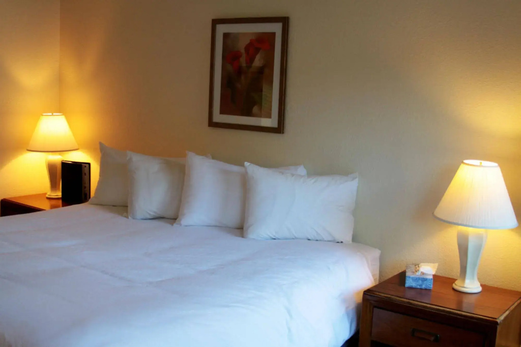 The Driftwood Hotel — фото 3