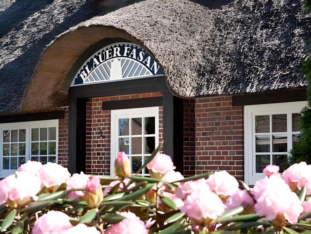 Hotel Blauer Fasan