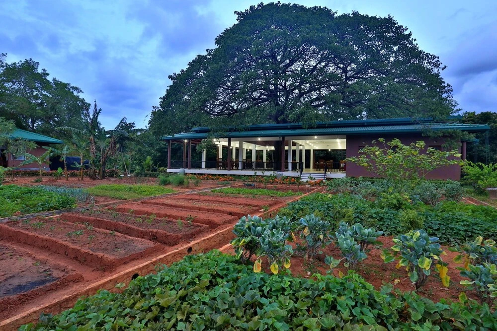 Governor's Gangula - Général