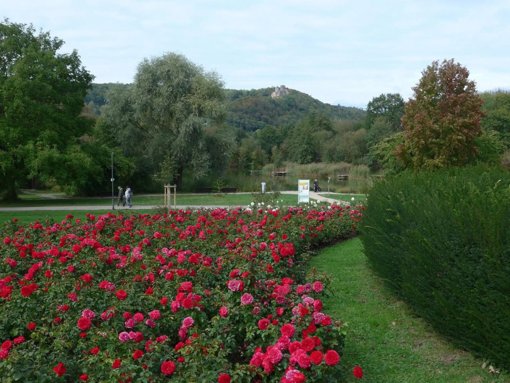 Ferienwohnungen Familie Schwarze - фото 13