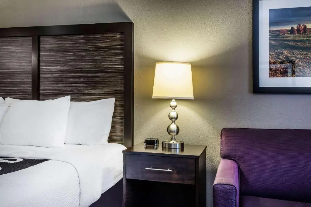 La Quinta Inn & Suites by Wyndham Lynchburg at Liberty Univ. - Chambres